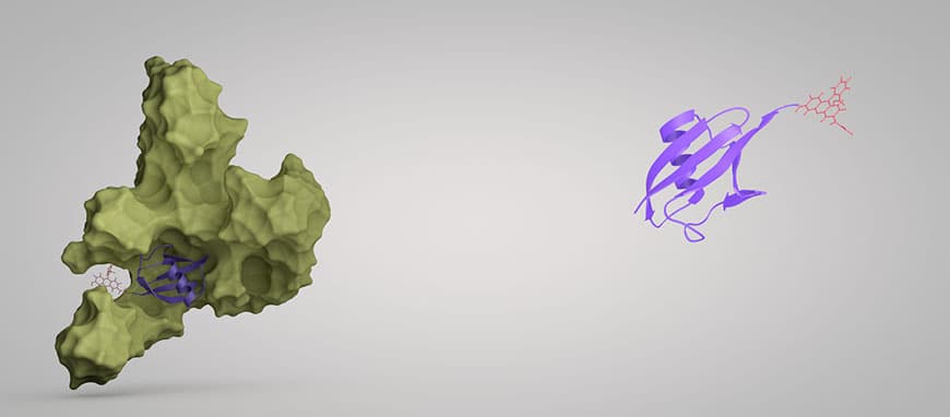 Peptide chemistry workflow and synthesis materials in a laboratory setting