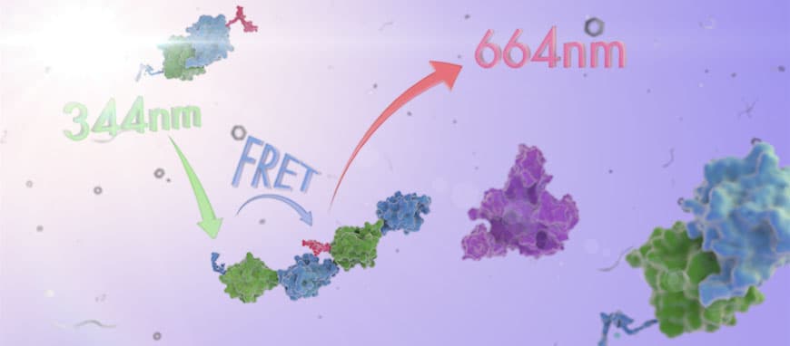 Scientific molecular visualization of copper peptide research in a biotech lab with blue and copper tones
