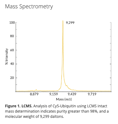 Cy5-Ubiquitin, human recombinant