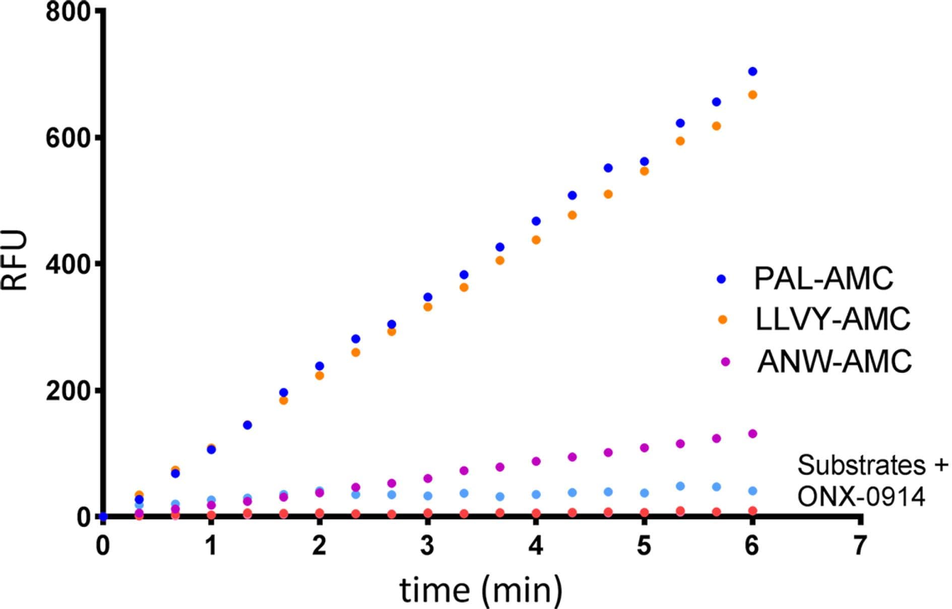 20S Immunoproteasome Kit