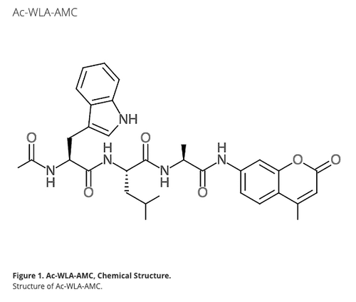 Ac-Trp-Leu-Ala-AMC (WLA-AMC)